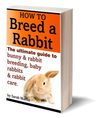 How To Breed A Rabbit Book
