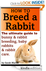 How To Breed A Rabbit Book 2