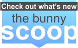 the bunny scoop