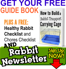 Everything Rabbit Newsletter Top