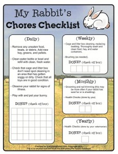 Rabbit Chores Checklist-sized